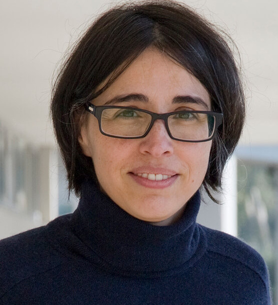 Networking Friday with Susana Barbosa (INESC TEC)