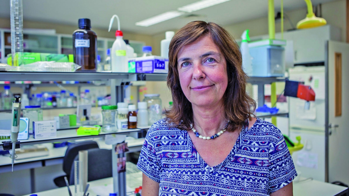 Marine Researcher Isabel Sousa Pinto Appointed to Lead Portugal's National Nature Restoration Plan