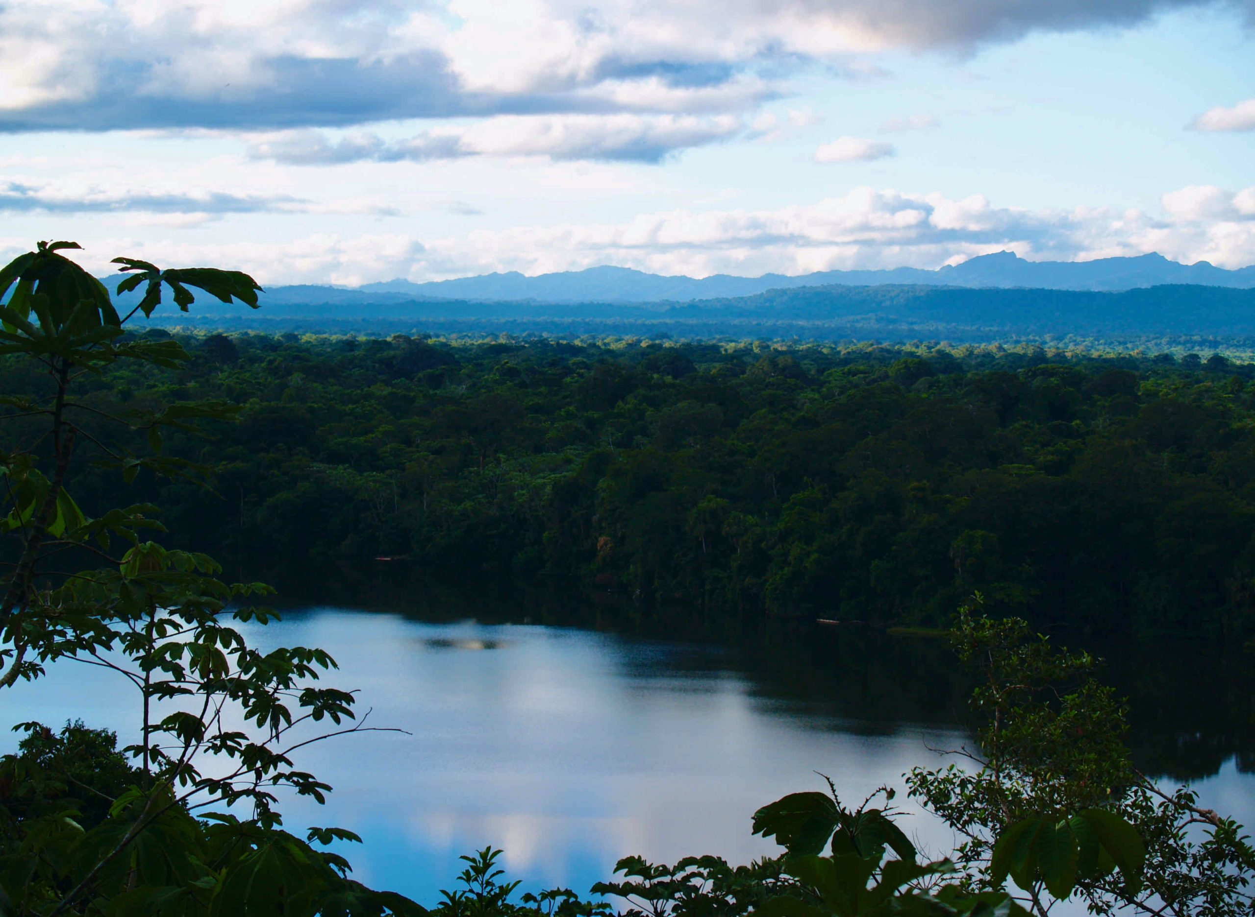The Simultaneous Warming of the Atlantic and Pacific Ocean can Affect the Amazon Forest
