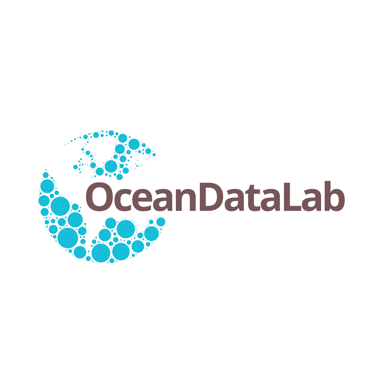 OceanDataLab