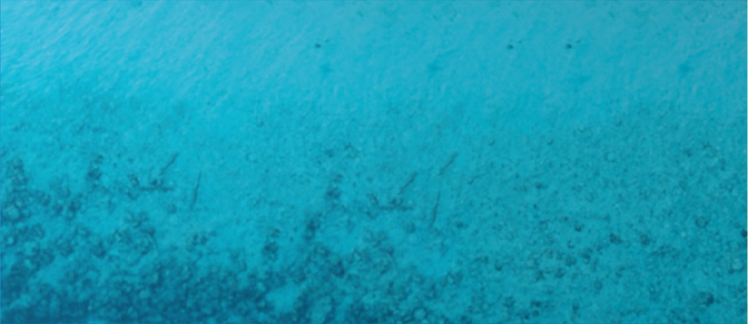 Blue talks